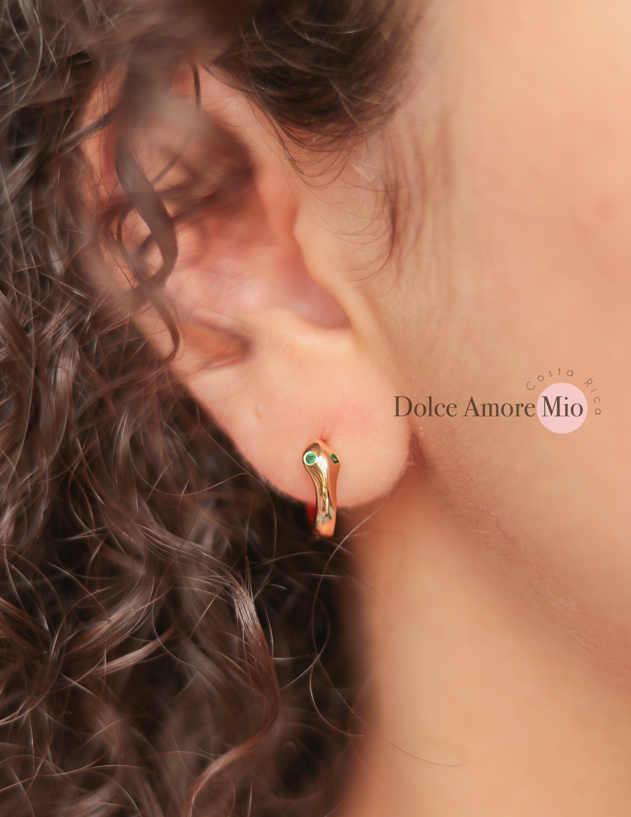 Aretes Snake