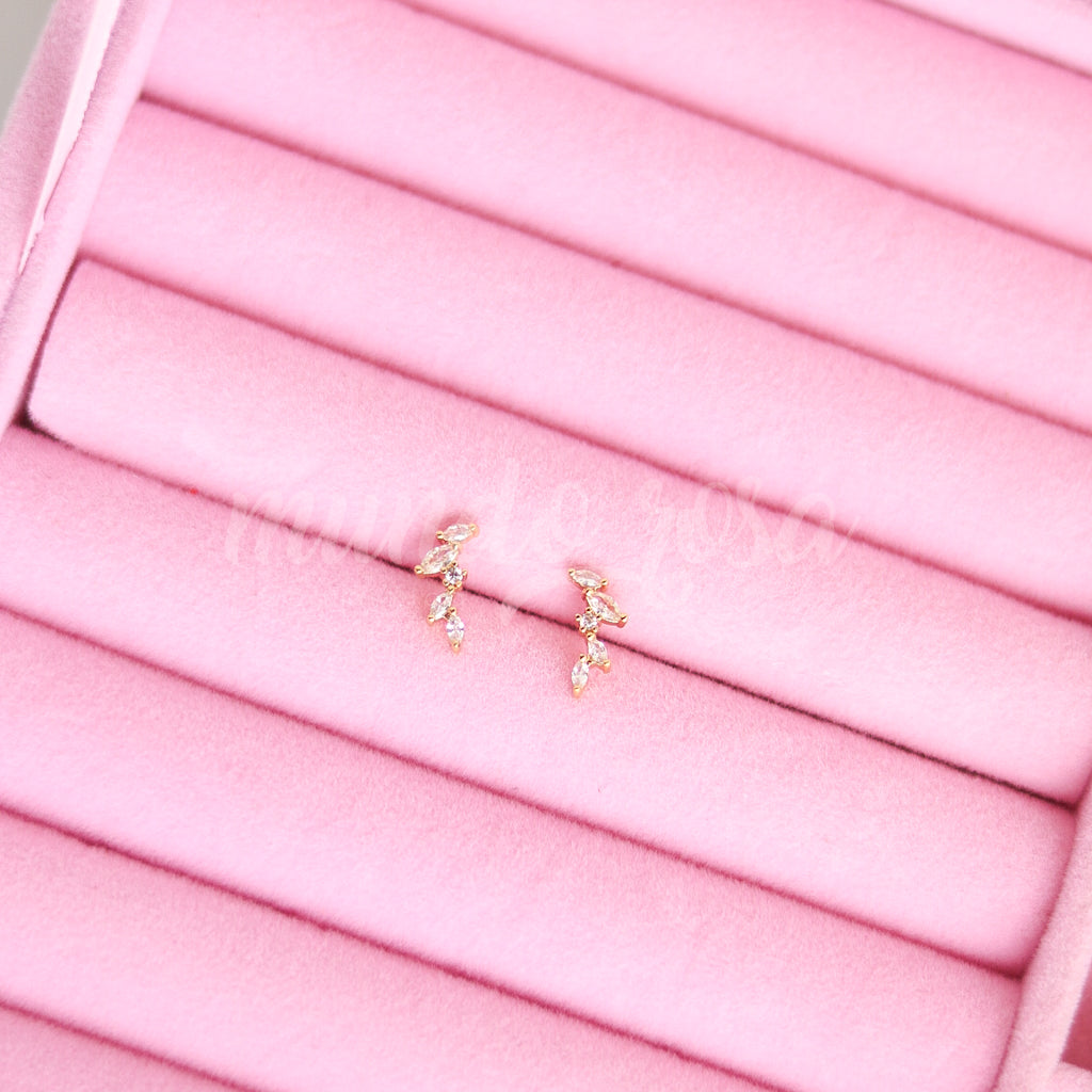 Aretes tipo Topo