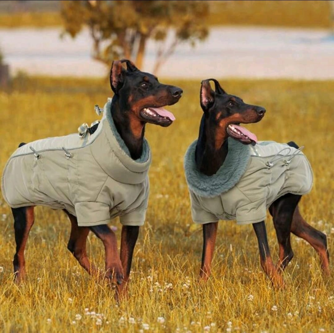 Abrigo calido para perro mediano