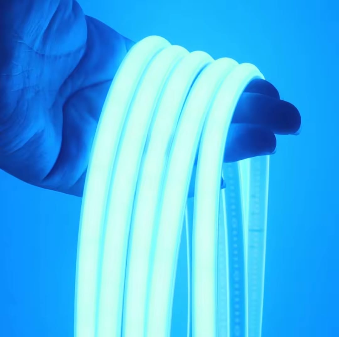 Luces neón (1 color)