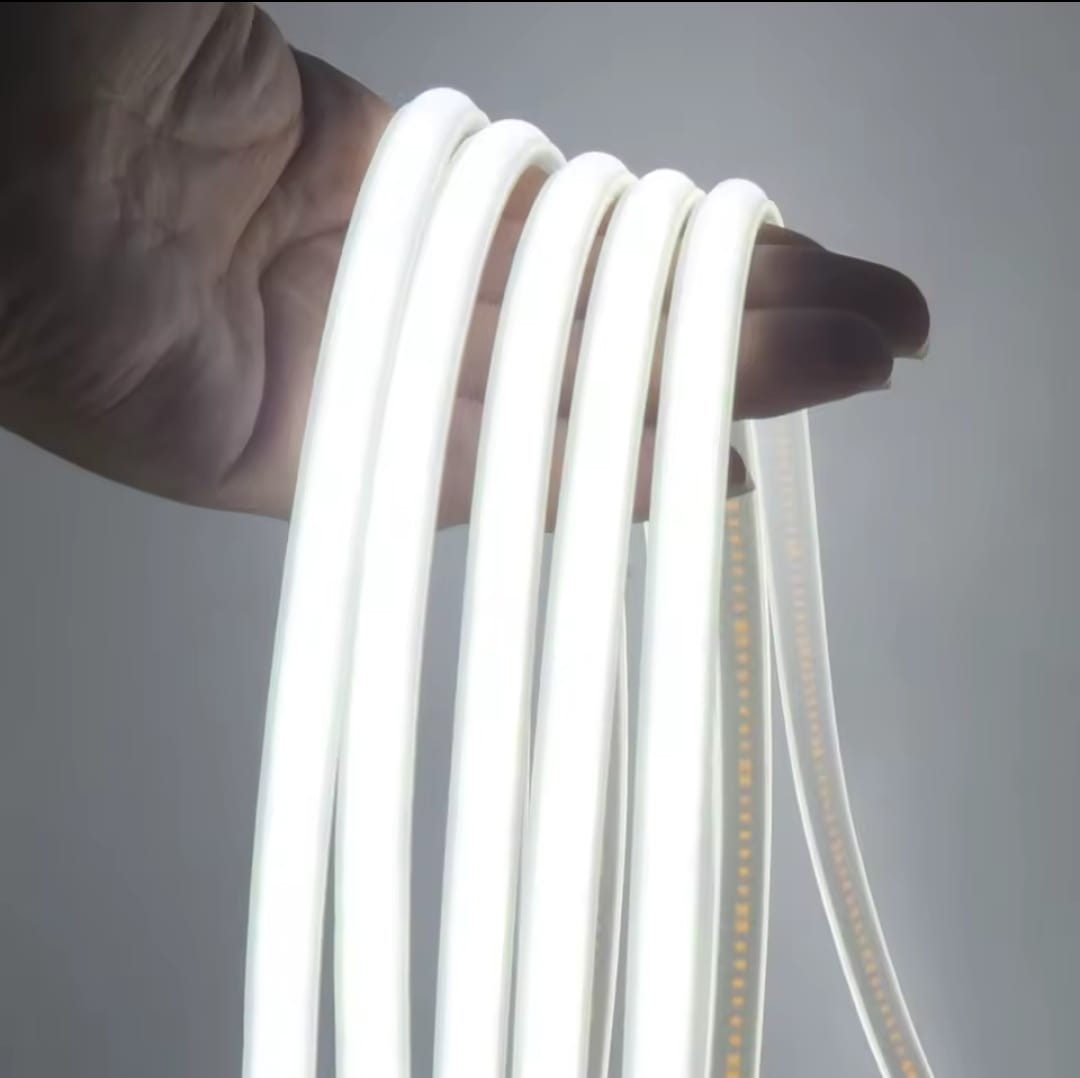 Luces neón (1 color)