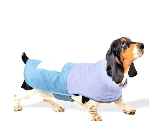 Sueter graduable para mascotas