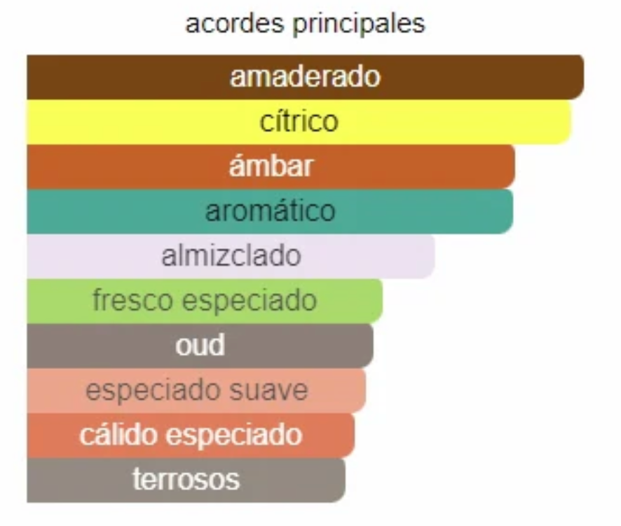 MINI EXPLORER HOMBRE 4.5M EDP