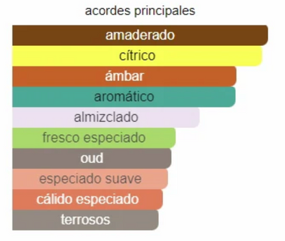 MINI EXPLORER HOMBRE 4.5M EDP