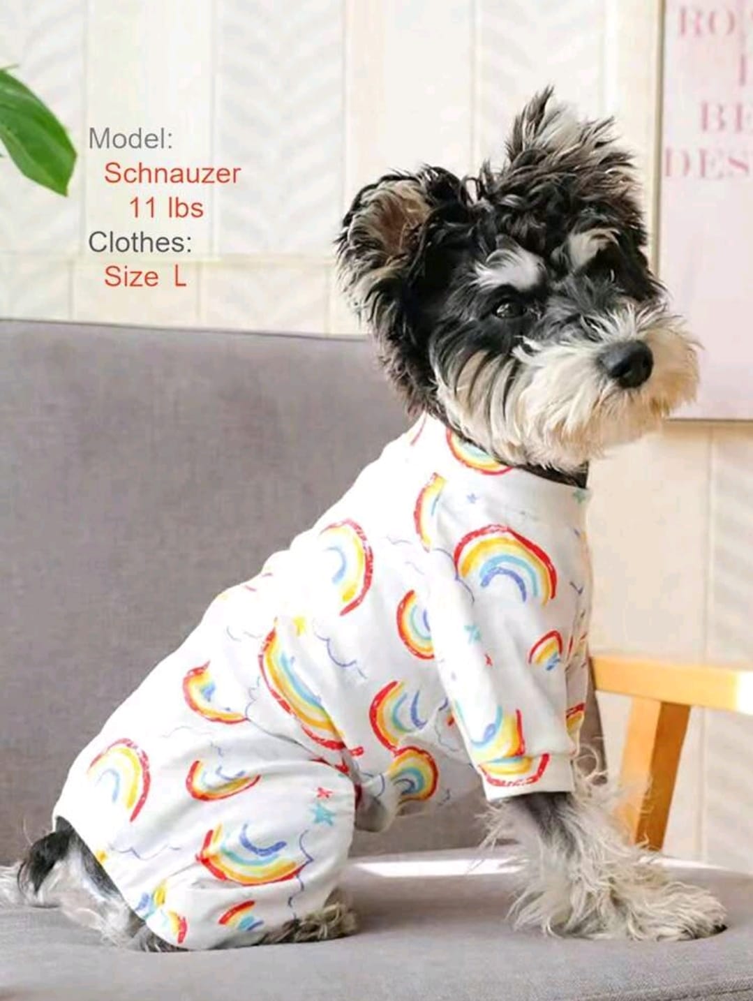 Pijama para mascota