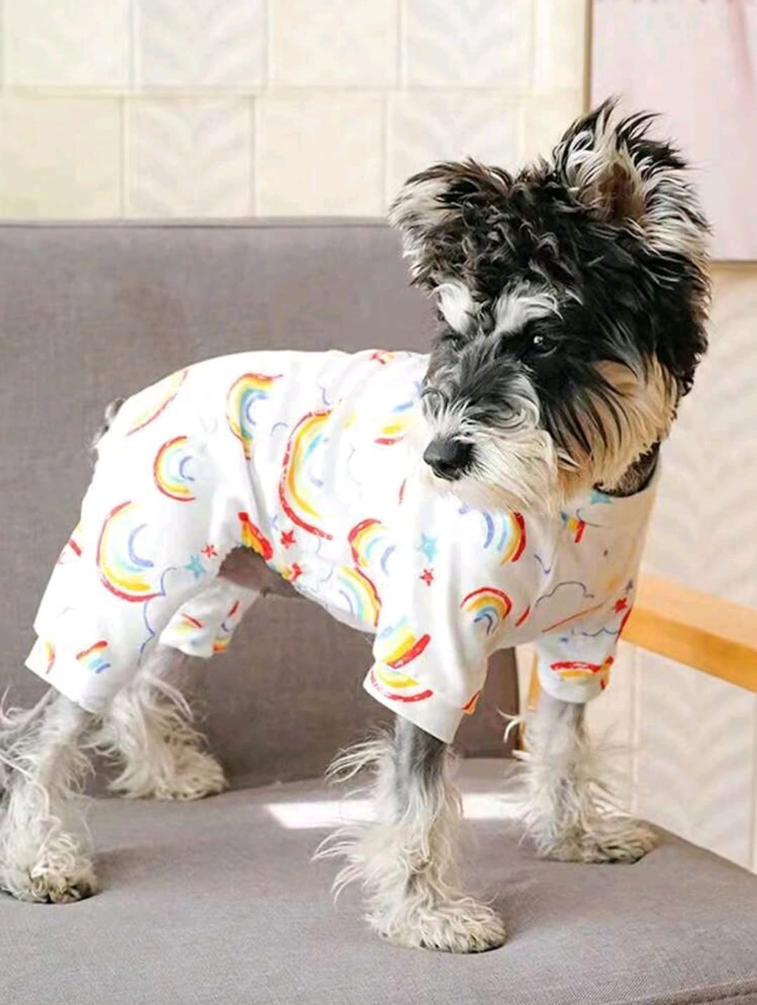 Pijama para mascota