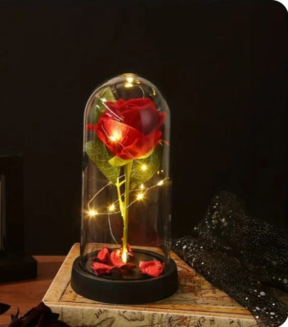 Rosa Eterna encapsulada