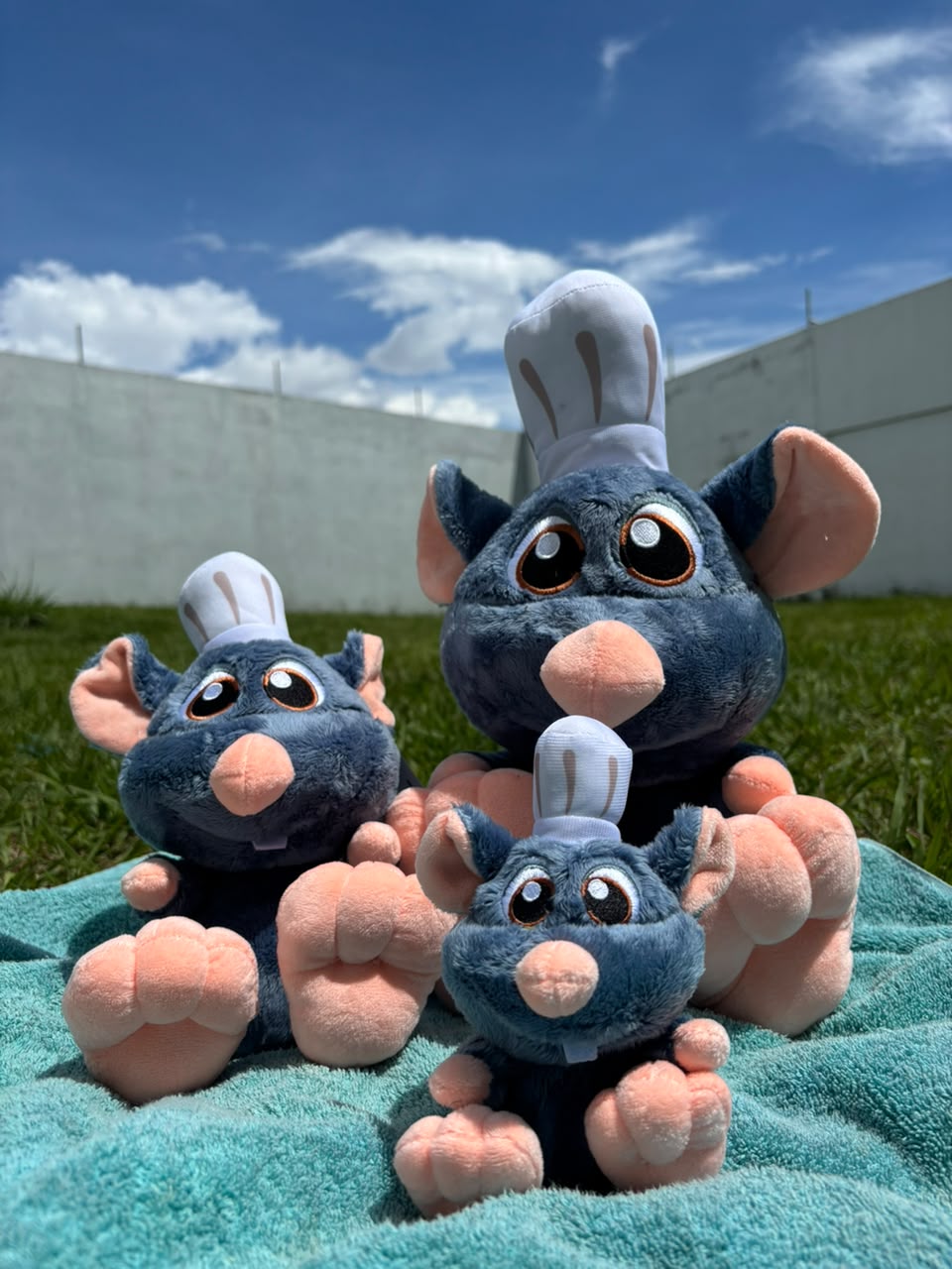 Peluches Remy