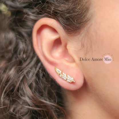 Aretes Trepadores
