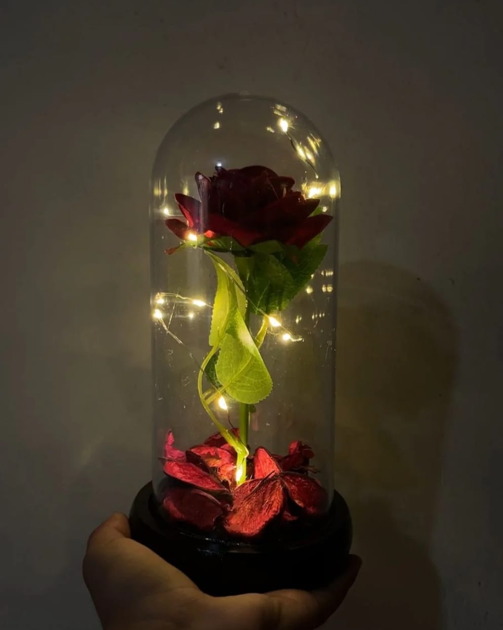 Rosa Eterna encapsulada