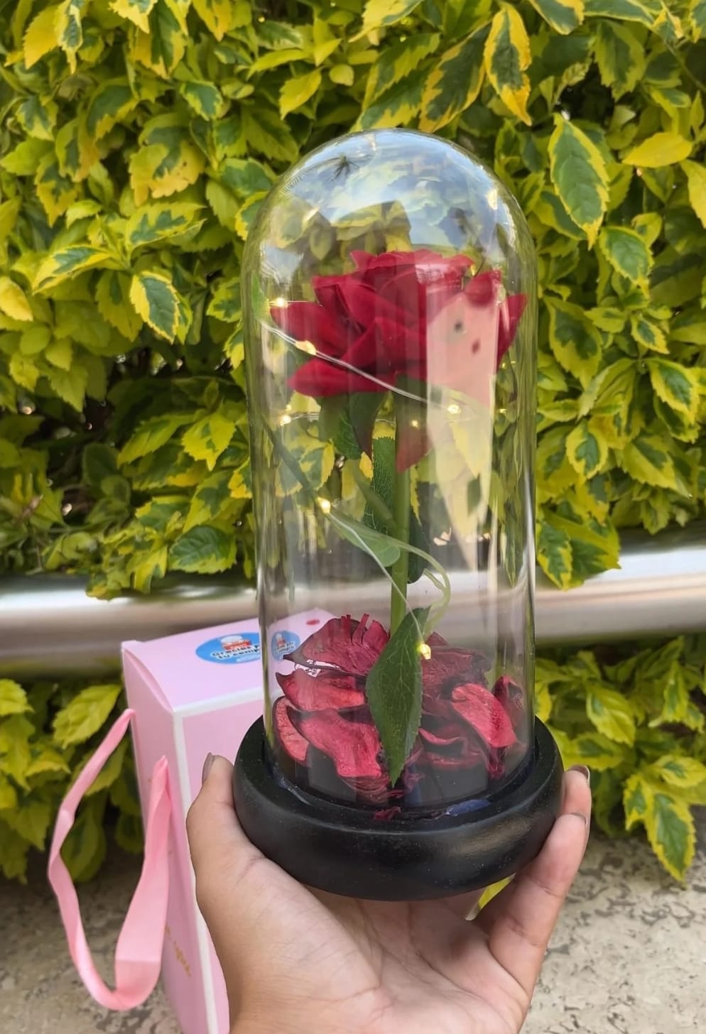 Rosa Eterna encapsulada